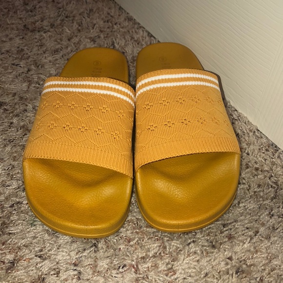 Slides - Picture 2 of 2